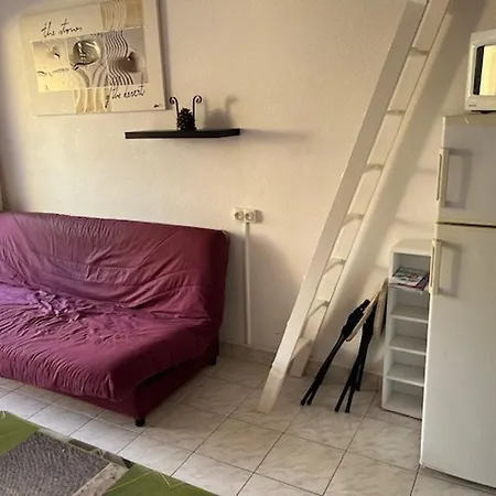 Climatise Avec Parking A 500m De La Pour Familiales - Fr-1-749-30 Apartment Agde